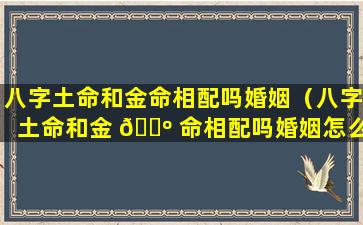 八字土命和金命相配吗婚姻（八字土命和金 🐺 命相配吗婚姻怎么样）